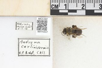 Media type: image;   Entomology 771517 Aspect: Labels